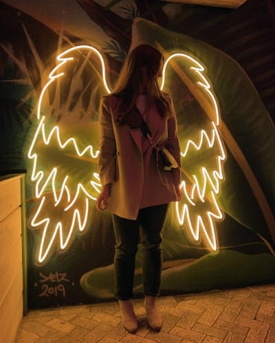 Wings Neon Sign