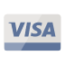 Visa Visa logo